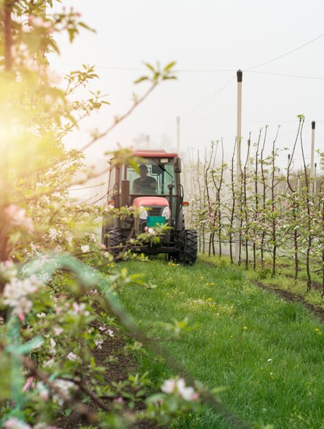 JIMSAN Farming